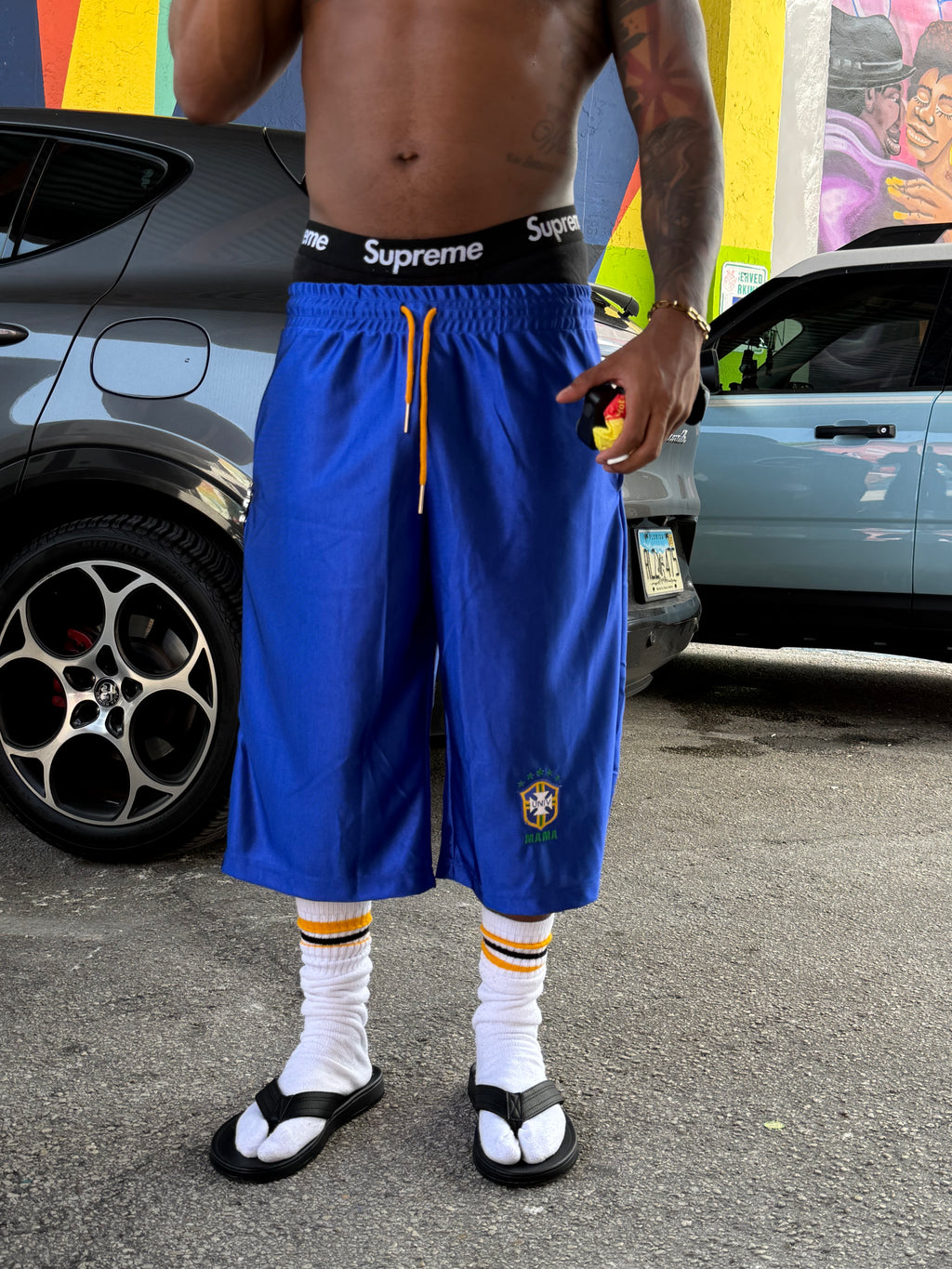 BRASIL SATIN JORTS